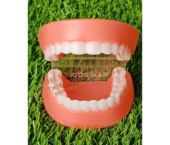 Hàng nhựa TBGD mầm non - 33