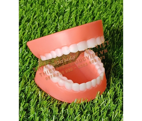 Hàng nhựa TBGD mầm non - 33