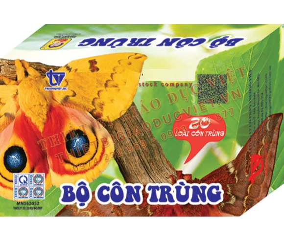 Hàng giấy TBGD mầm non - 08