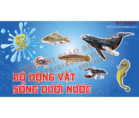 Hàng giấy TBGD mầm non - 09