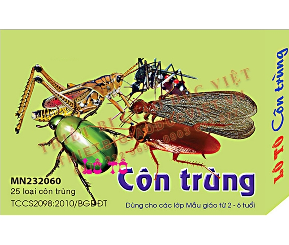 Hàng giấy TBGD mầm non - 18