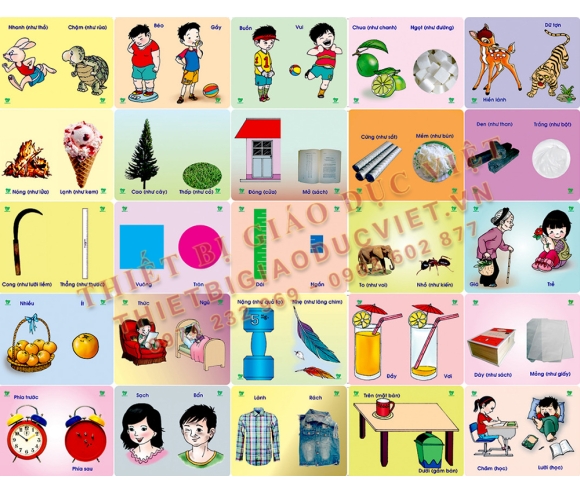 Hàng giấy TBGD mầm non - 24