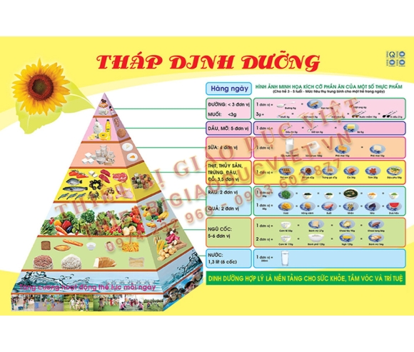 Hàng giấy TBGD mầm non - 27